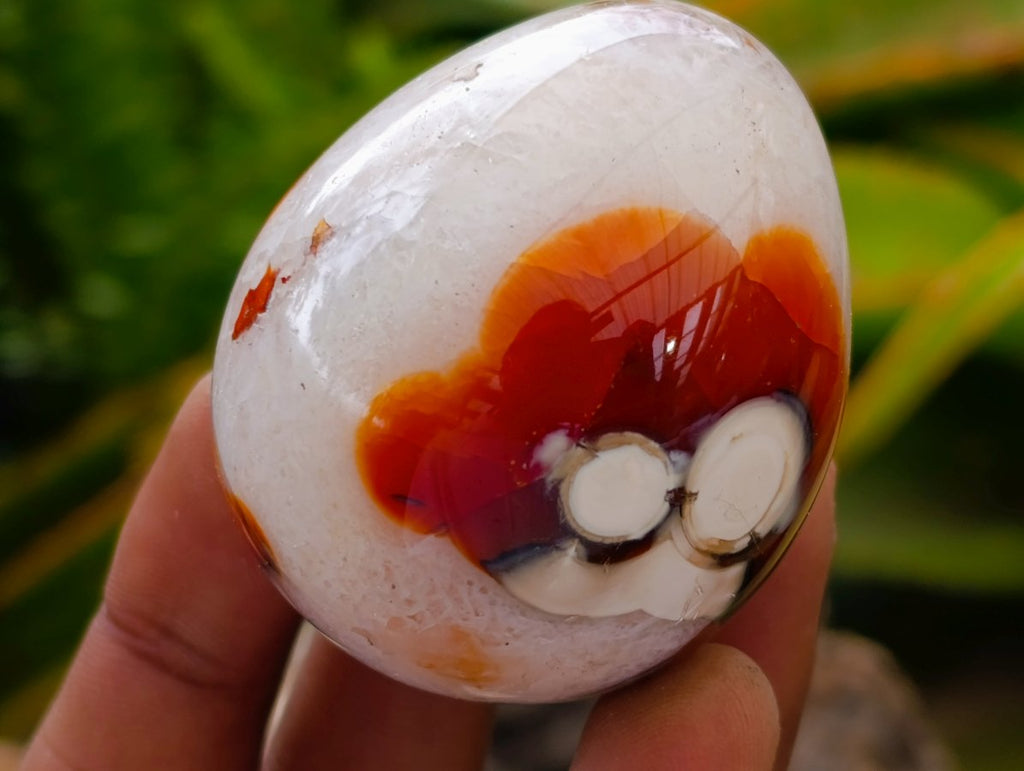 Polished Carnelian Agate Gemstone Eggs x 12 From Madagascar