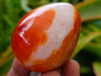 Polished Carnelian Agate Gemstone Eggs x 12 From Madagascar
