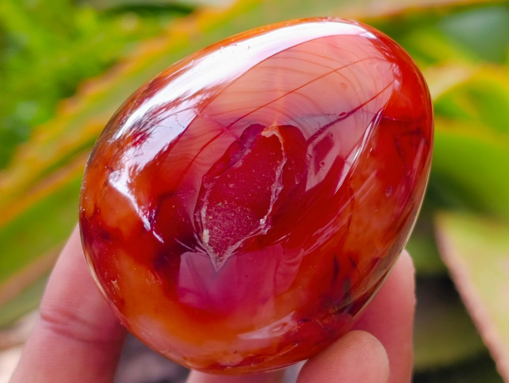 Polished Carnelian Agate Gemstone Eggs x 12 From Madagascar