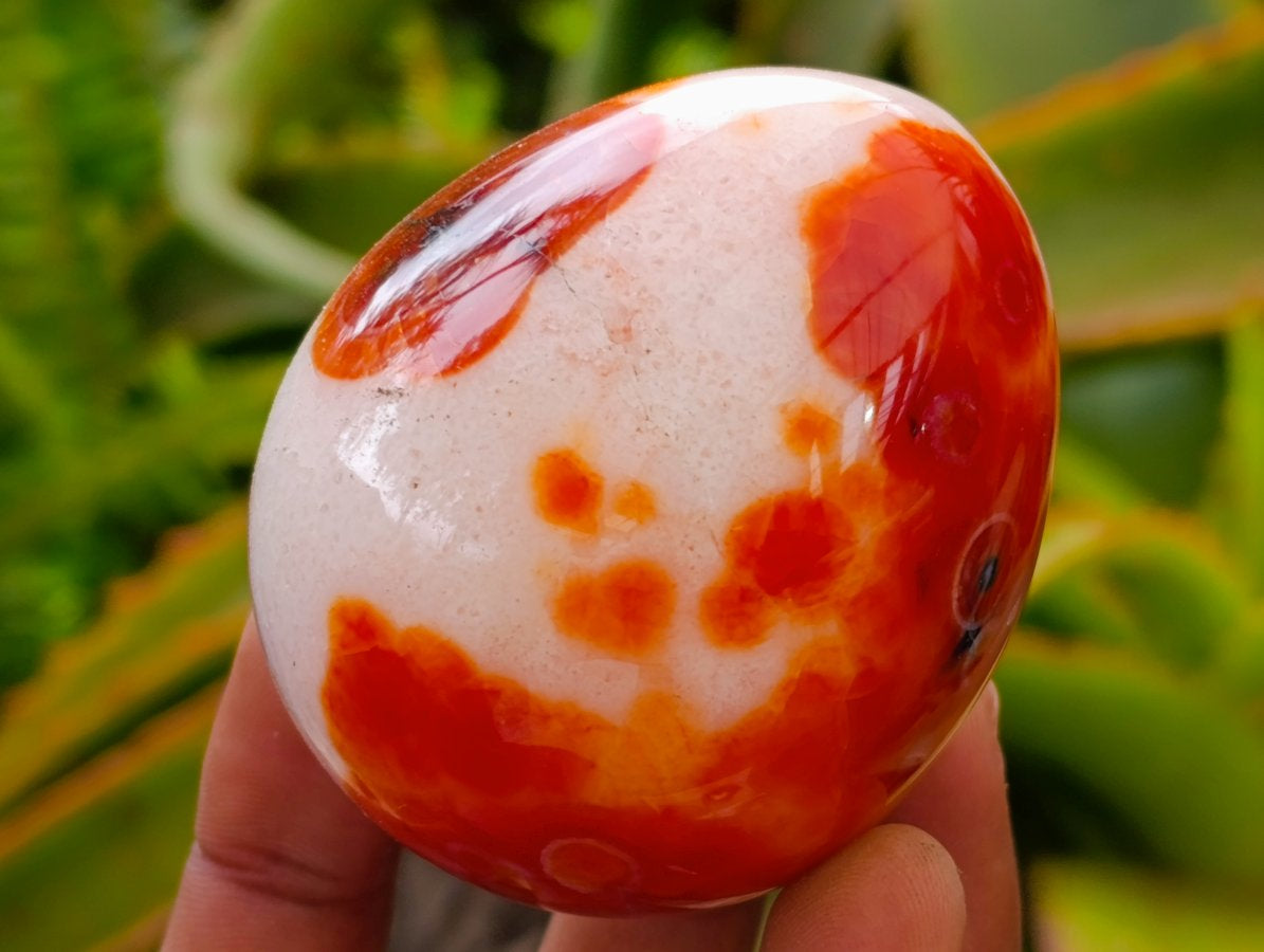 Polished Carnelian Agate Gemstone Eggs x 12 From Madagascar