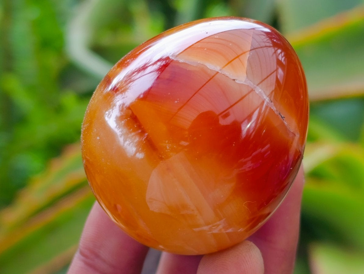 Polished Carnelian Agate Gemstone Eggs x 12 From Madagascar