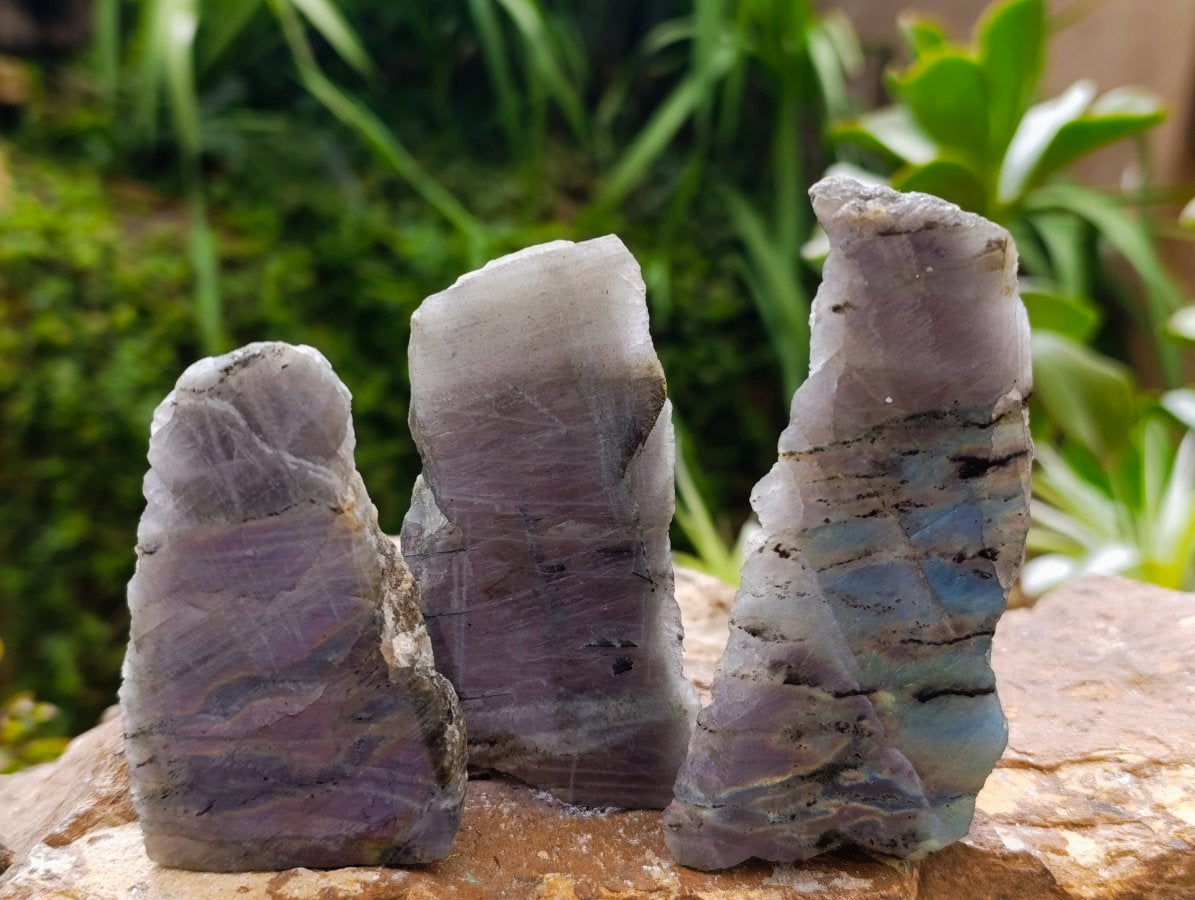 Polished One Side Labradorite Display Pieces x 12 From Madagascar