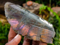 Polished One Side Labradorite Display Pieces x 12 From Madagascar