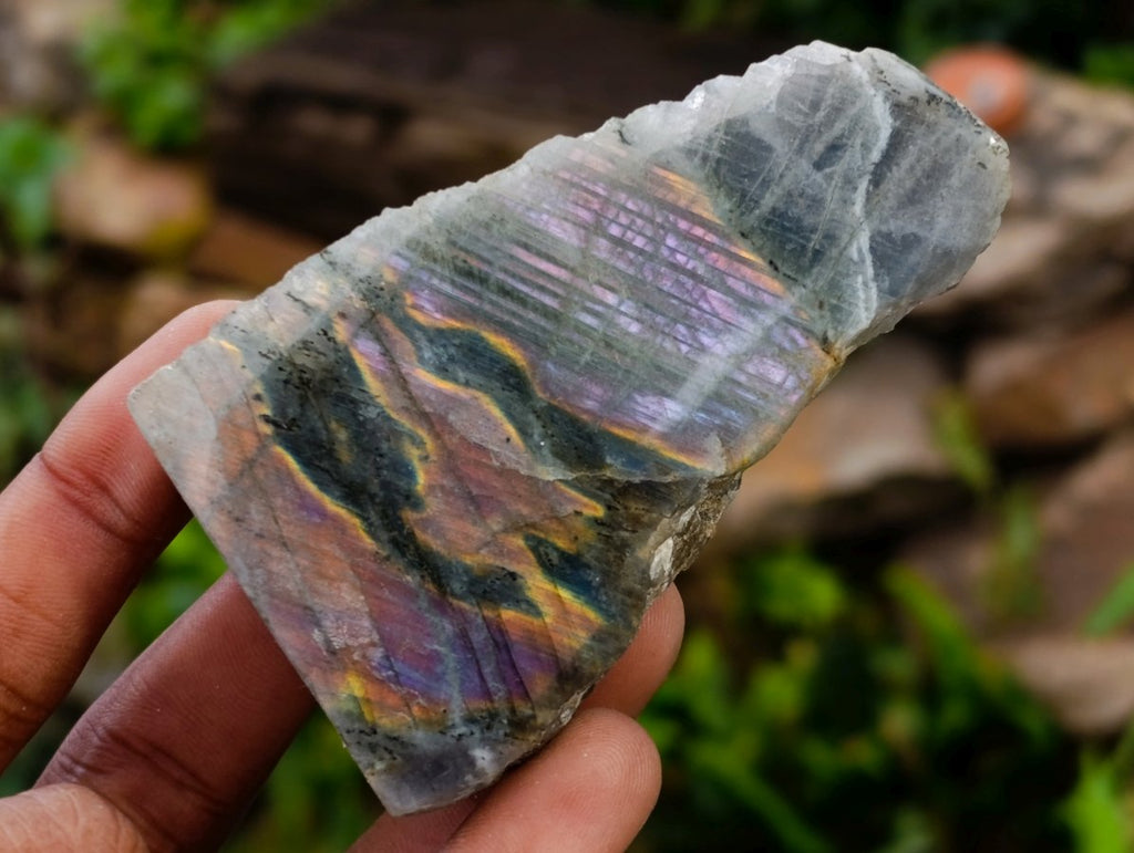 Polished One Side Labradorite Display Pieces x 12 From Madagascar