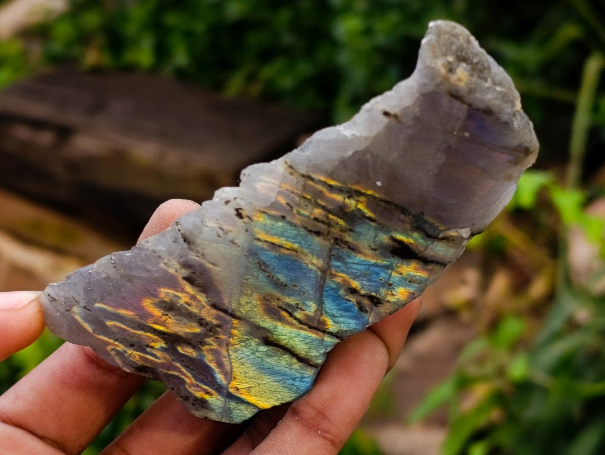 Polished One Side Labradorite Display Pieces x 12 From Madagascar