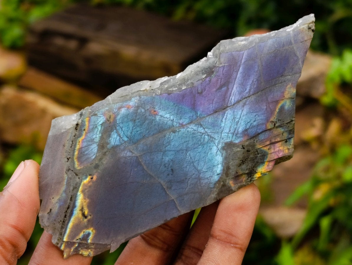 Polished One Side Labradorite Display Pieces x 12 From Madagascar