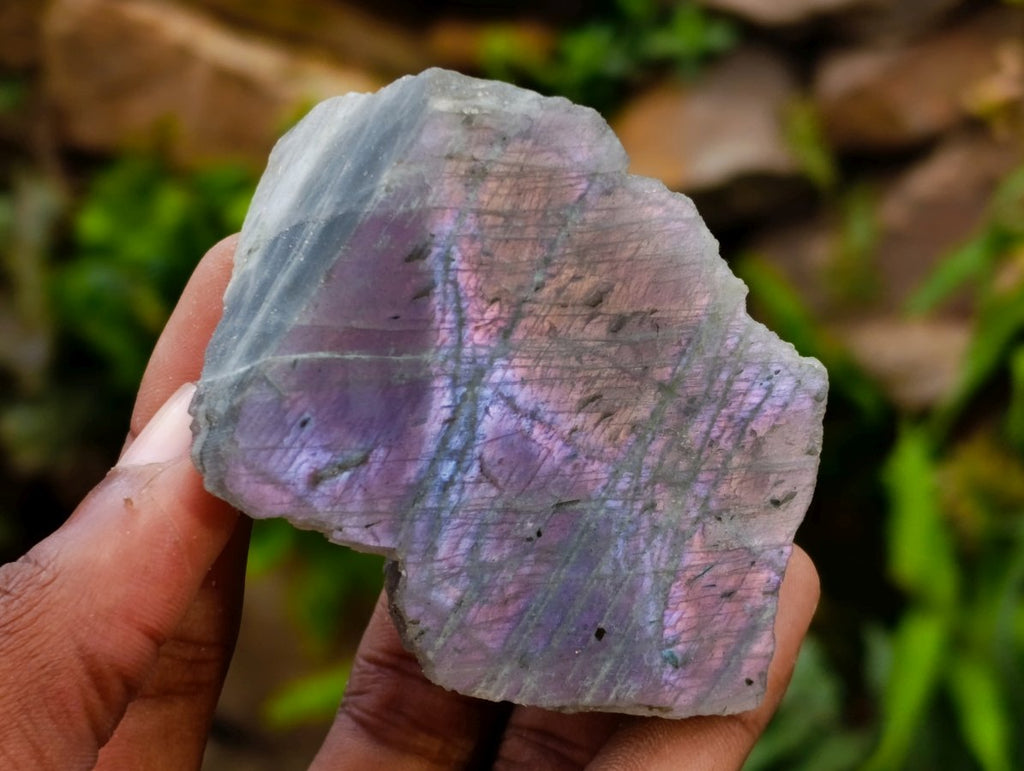 Polished One Side Labradorite Display Pieces x 12 From Madagascar