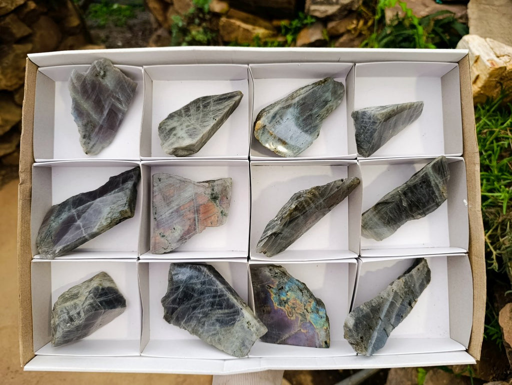 Polished One Side Labradorite Display Pieces x 12 From Madagascar