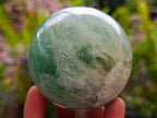 Polished Green Fluorite Spheres x 3 From Madagascar