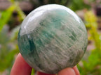 Polished Green Fluorite Spheres x 3 From Madagascar