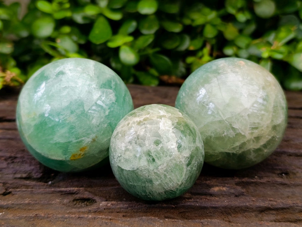 Polished Green Fluorite Spheres x 3 From Madagascar