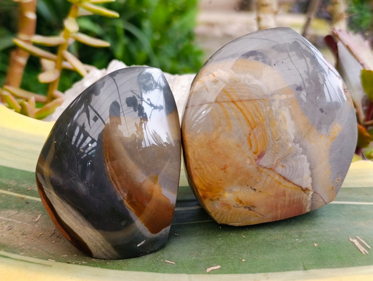 Polished Polychrome Jasper Flames x 6 From NW Coast, Madagascar