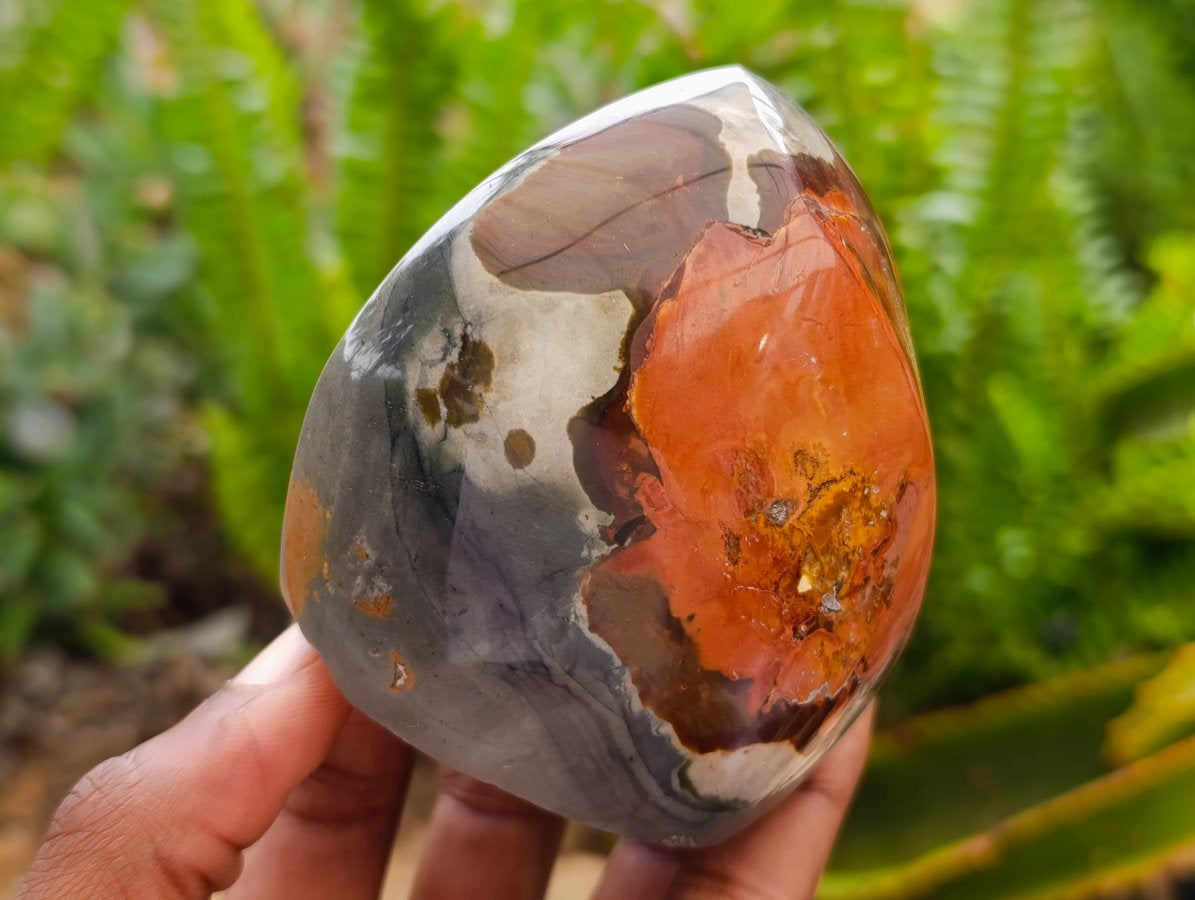 Polished Polychrome Jasper Flames x 6 From NW Coast, Madagascar