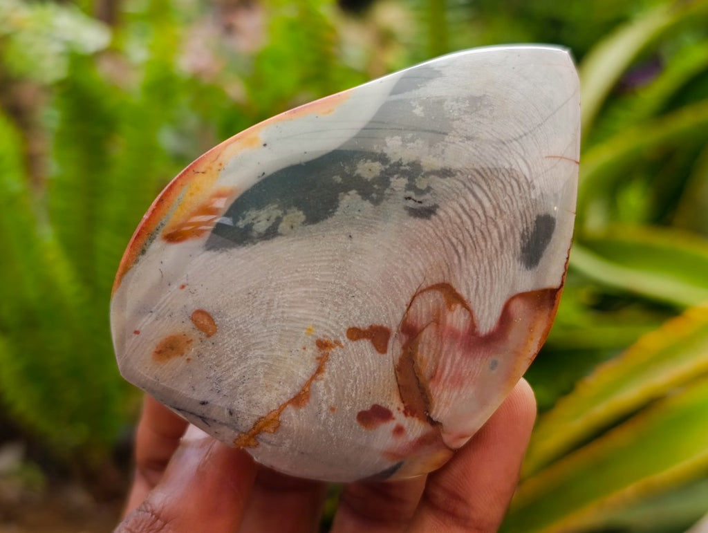 Polished Polychrome Jasper Flames x 6 From NW Coast, Madagascar