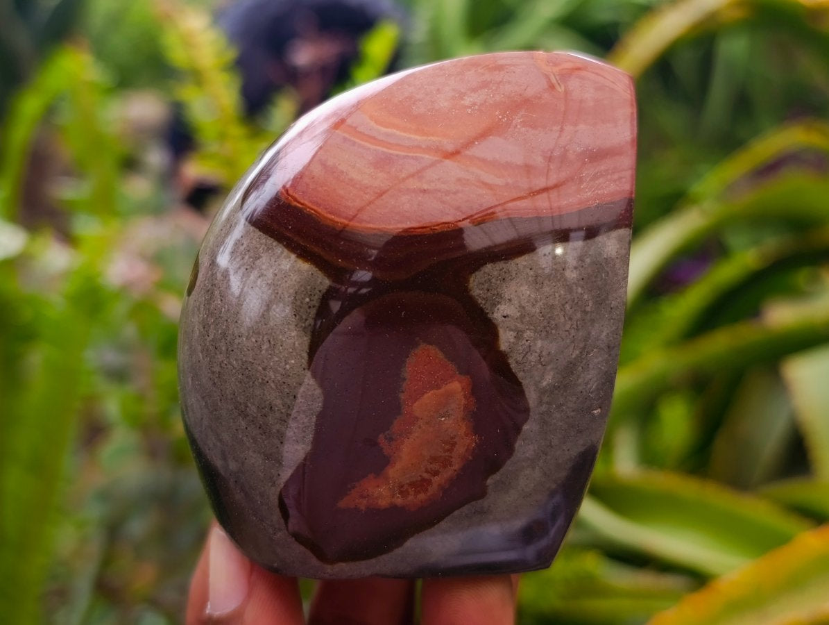 Polished Polychrome Jasper Flames x 6 From NW Coast, Madagascar