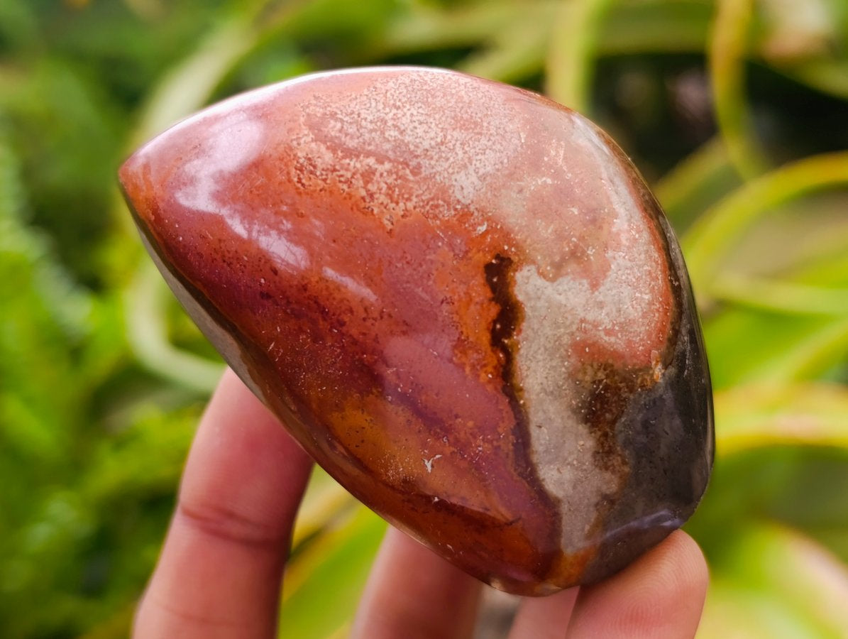 Polished Polychrome Jasper Flames x 6 From NW Coast, Madagascar