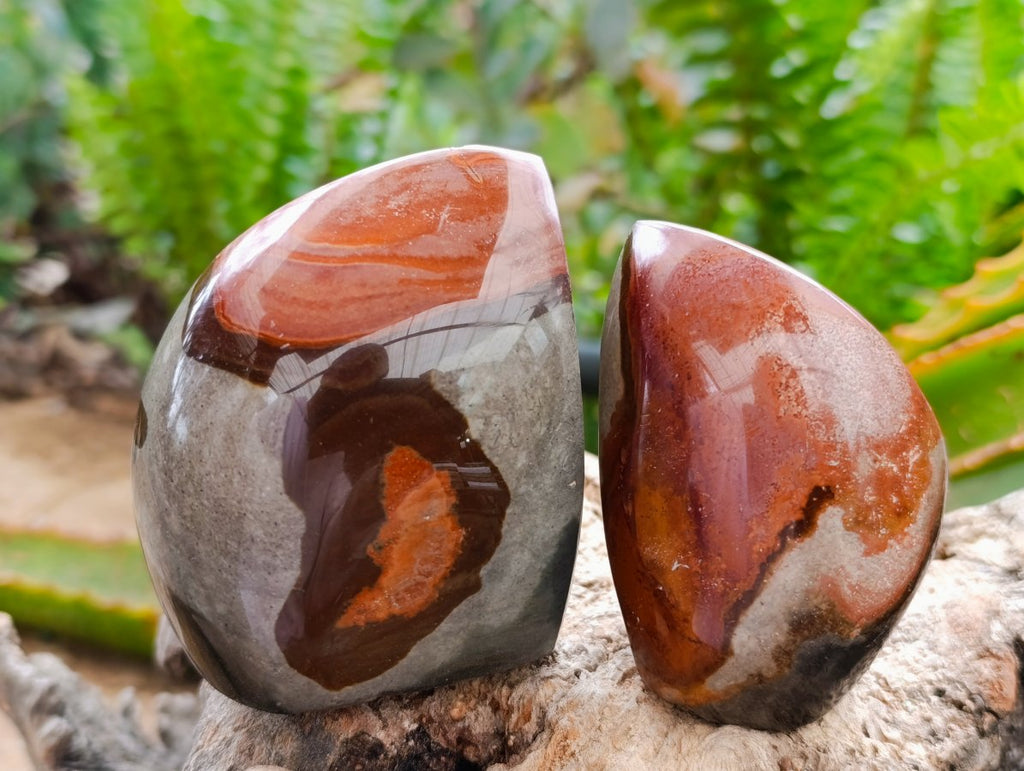 Polished Polychrome Jasper Flames x 6 From NW Coast, Madagascar