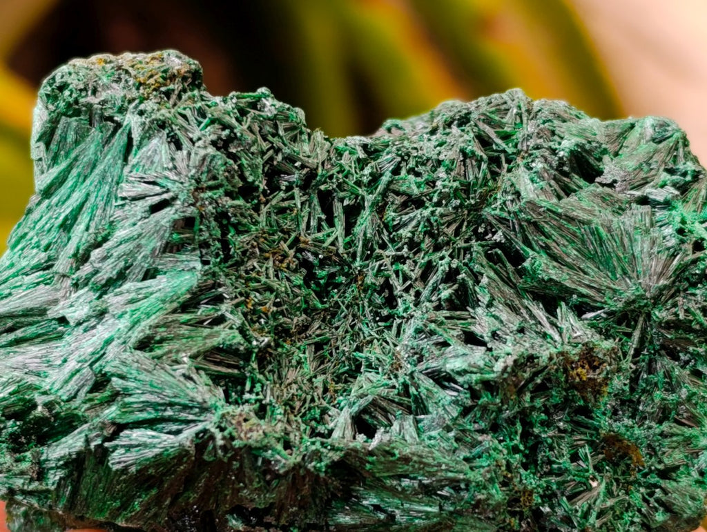 Natural Silky Malachite Specimens x 6 From Kasompe, Congo