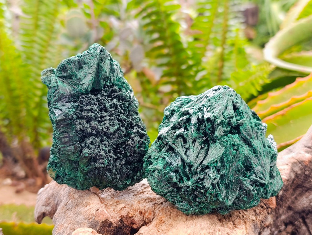 Natural Silky Malachite Specimens x 6 From Kasompe, Congo