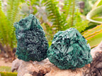 Natural Silky Malachite Specimens x 6 From Kasompe, Congo