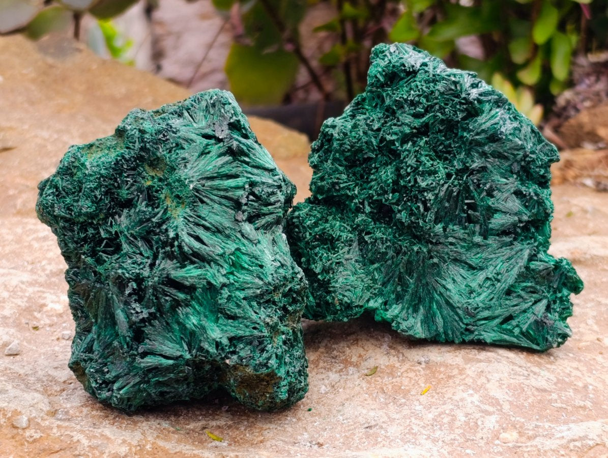 Natural Silky Malachite Specimens x 6 From Kasompe, Congo