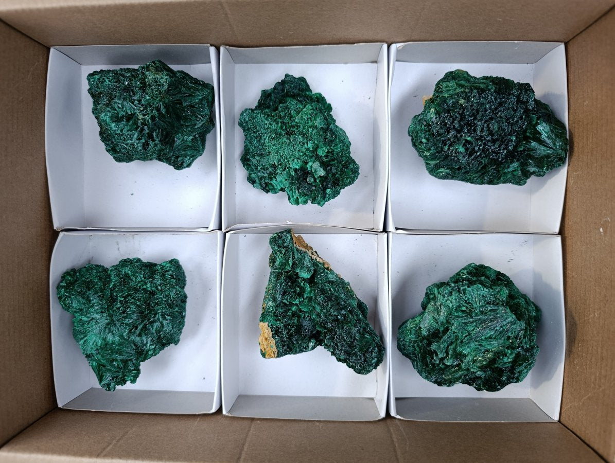 Natural Silky Malachite Specimens x 6 From Kasompe, Congo