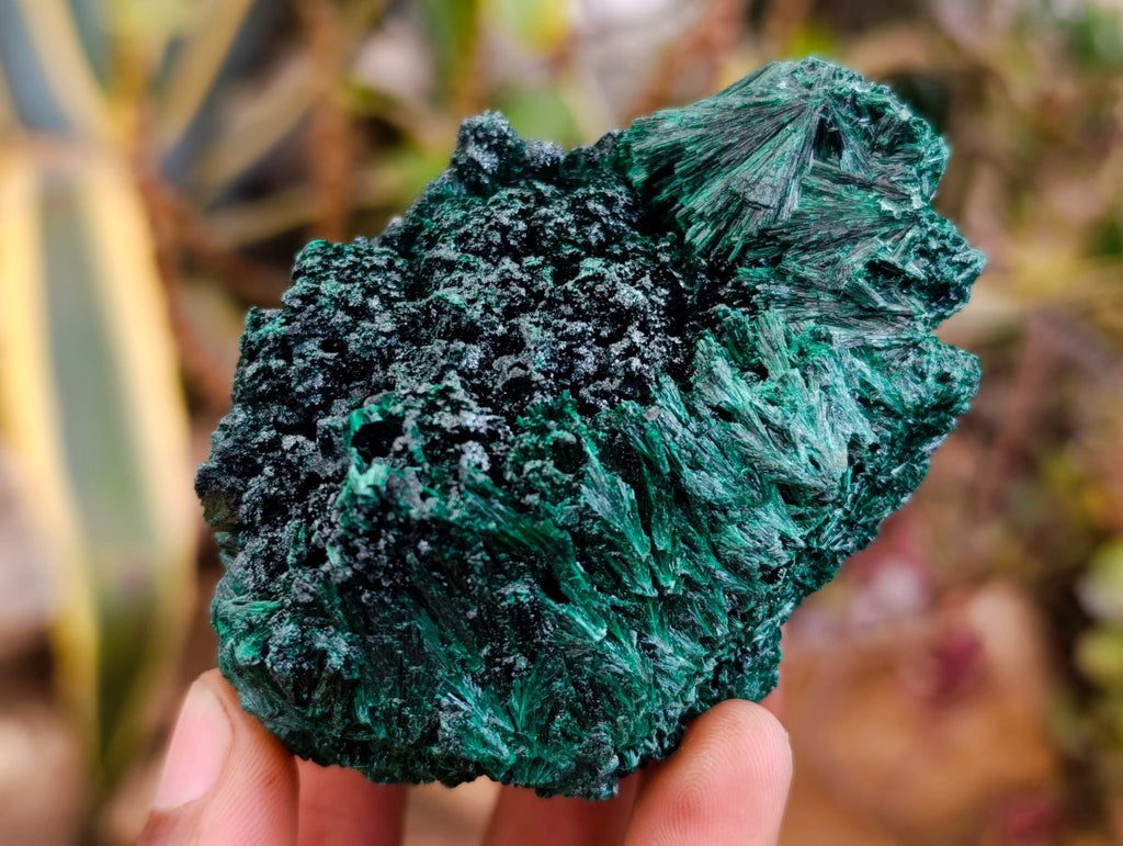 Natural Silky Malachite Specimens x 6 From Kasompe, Congo