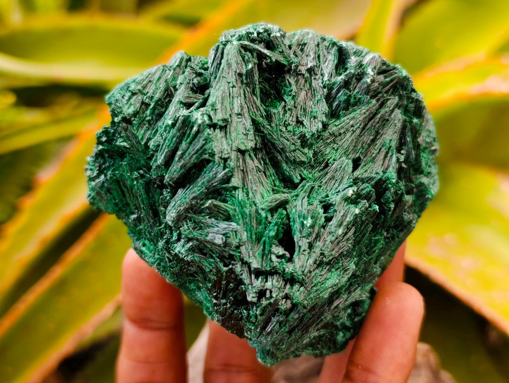 Natural Silky Malachite Specimens x 6 From Kasompe, Congo