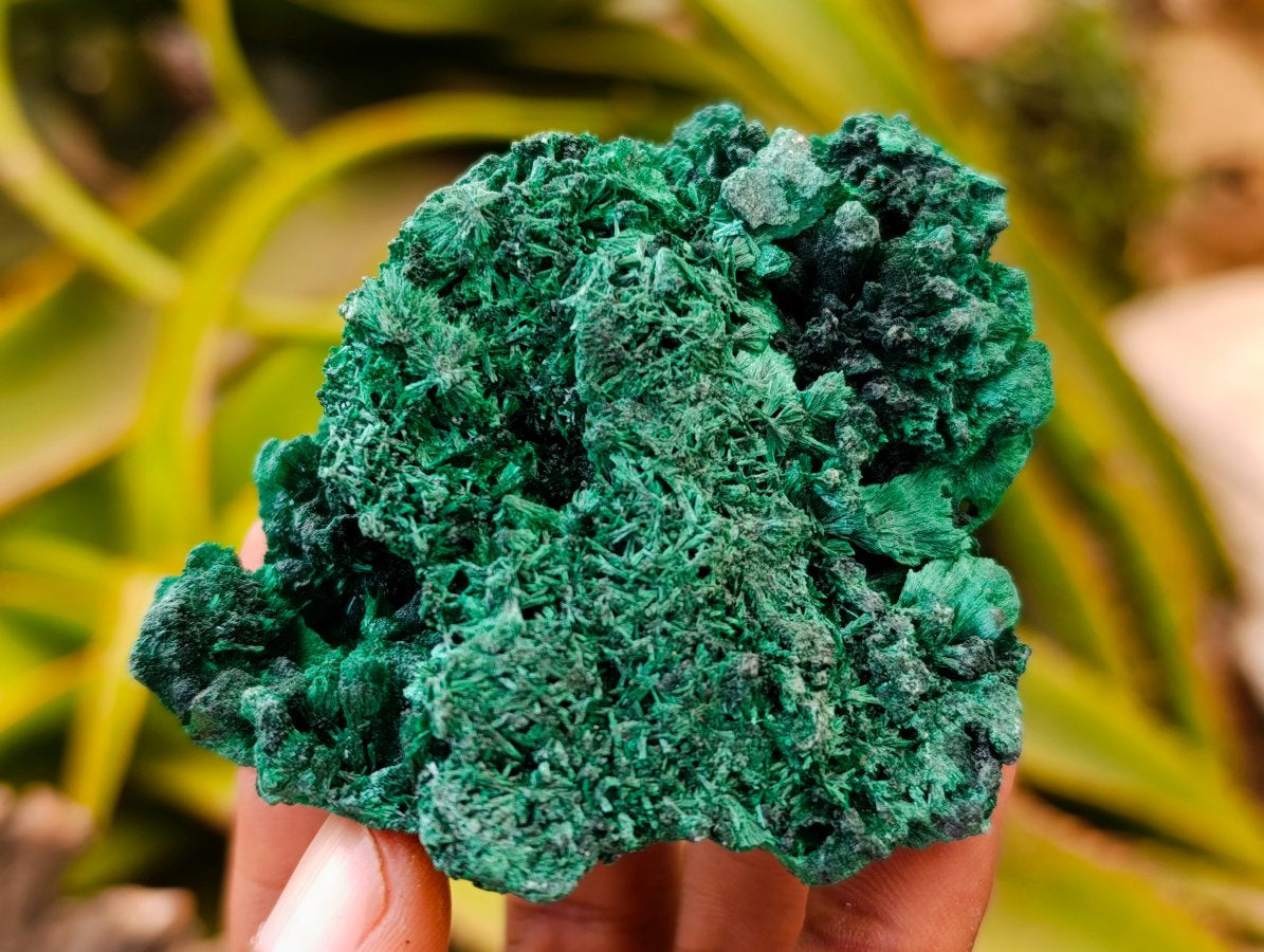Natural Silky Malachite Specimens x 6 From Kasompe, Congo