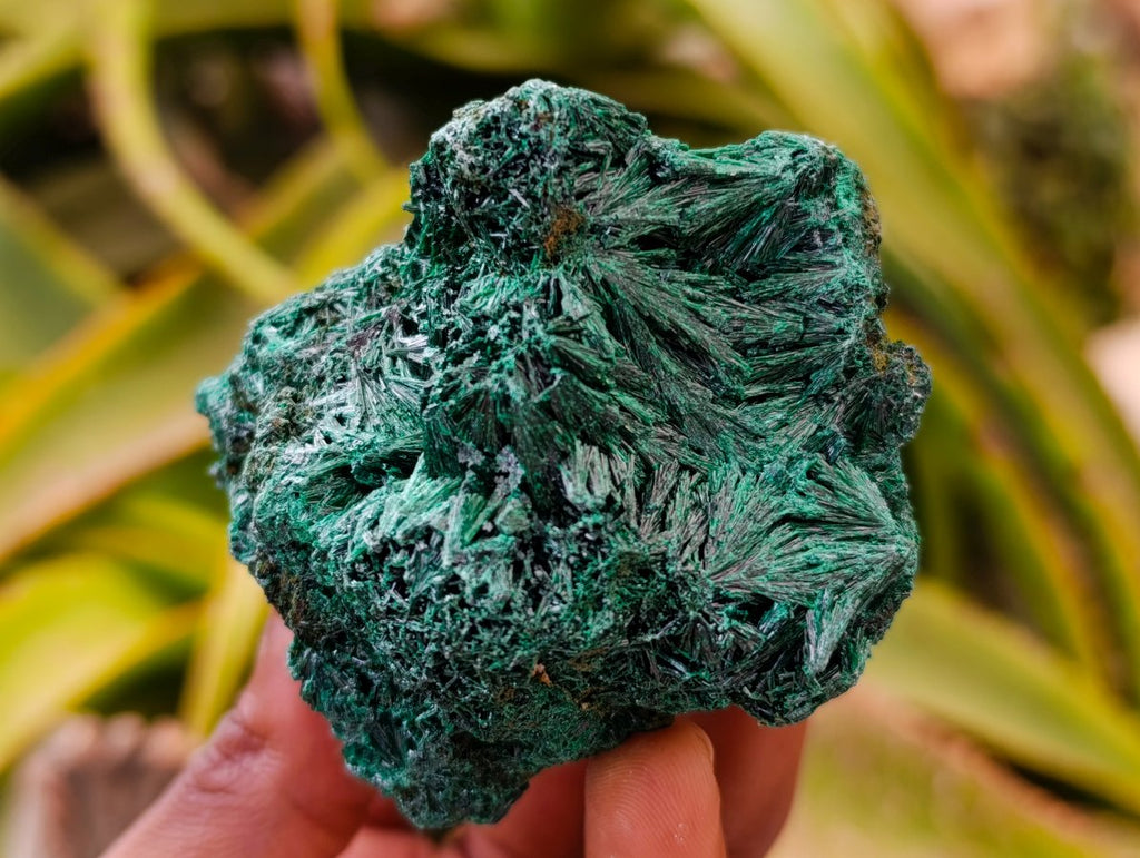 Natural Silky Malachite Specimens x 6 From Kasompe, Congo