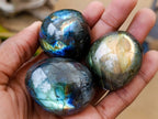 Polished Rounded Labradorite Free Forms x 35 From Madagascar - Toprock Gemstones and Minerals 