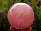 Polished Gemmy Star Rose Quartz Spheres x 2 From Madagascar