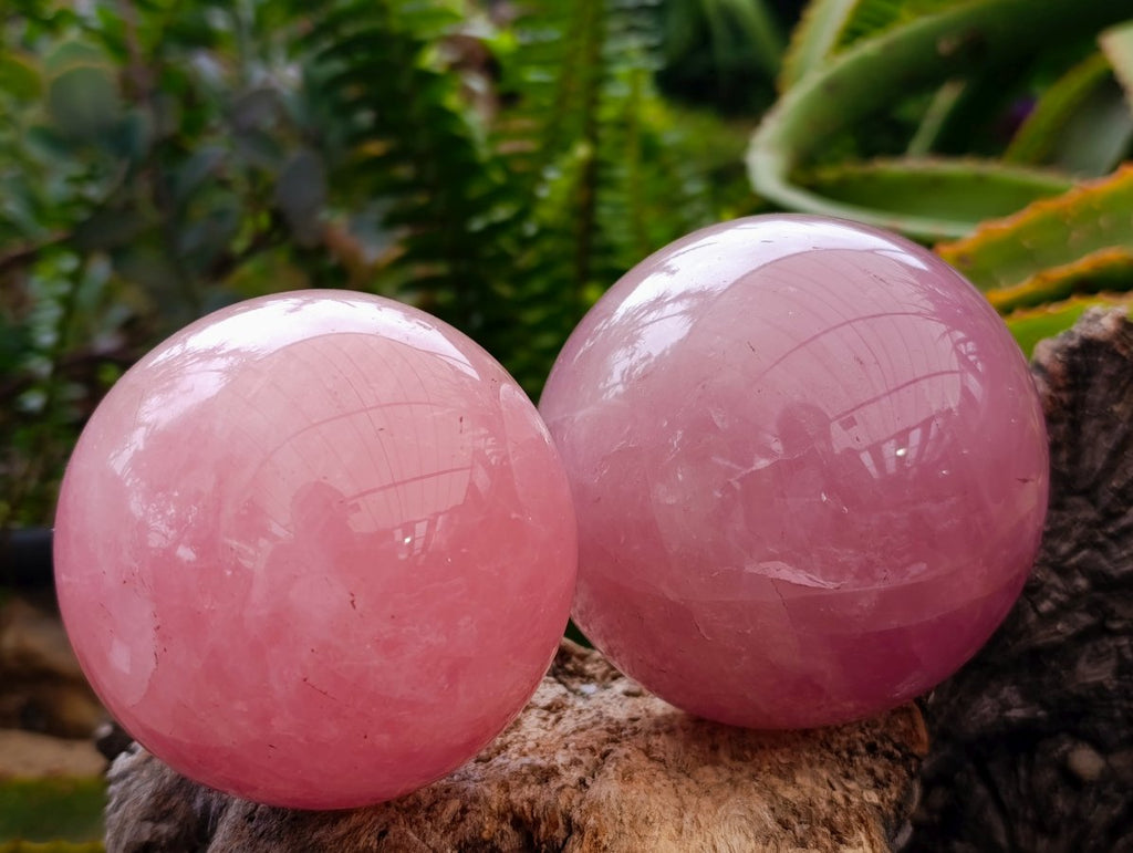 Polished Gemmy Star Rose Quartz Spheres x 2 From Madagascar