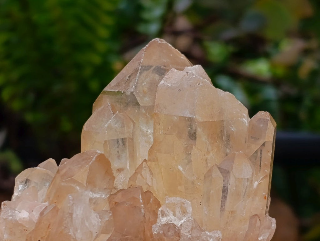 Natural Mix Of Multi Mineral Specimens x 6 From Southern Africa