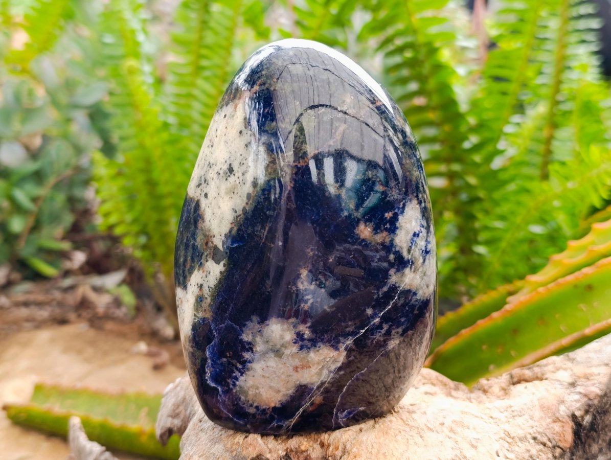 Polished Sodalite Standing Free Forms x 2 From Kunene River, Namibia