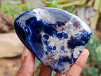 Polished Sodalite Standing Free Forms x 2 From Kunene River, Namibia