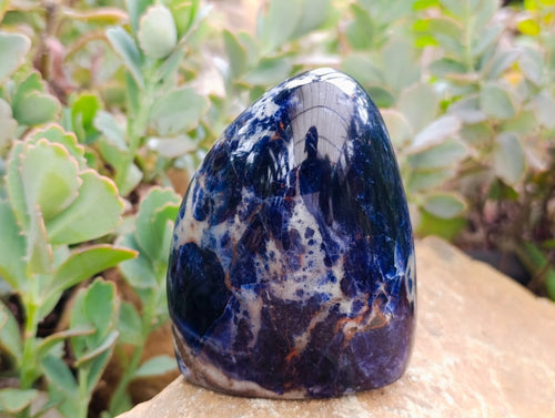 Polished Sodalite Standing Free Forms x 2 From Kunene River, Namibia - Toprock Gemstones and Minerals 