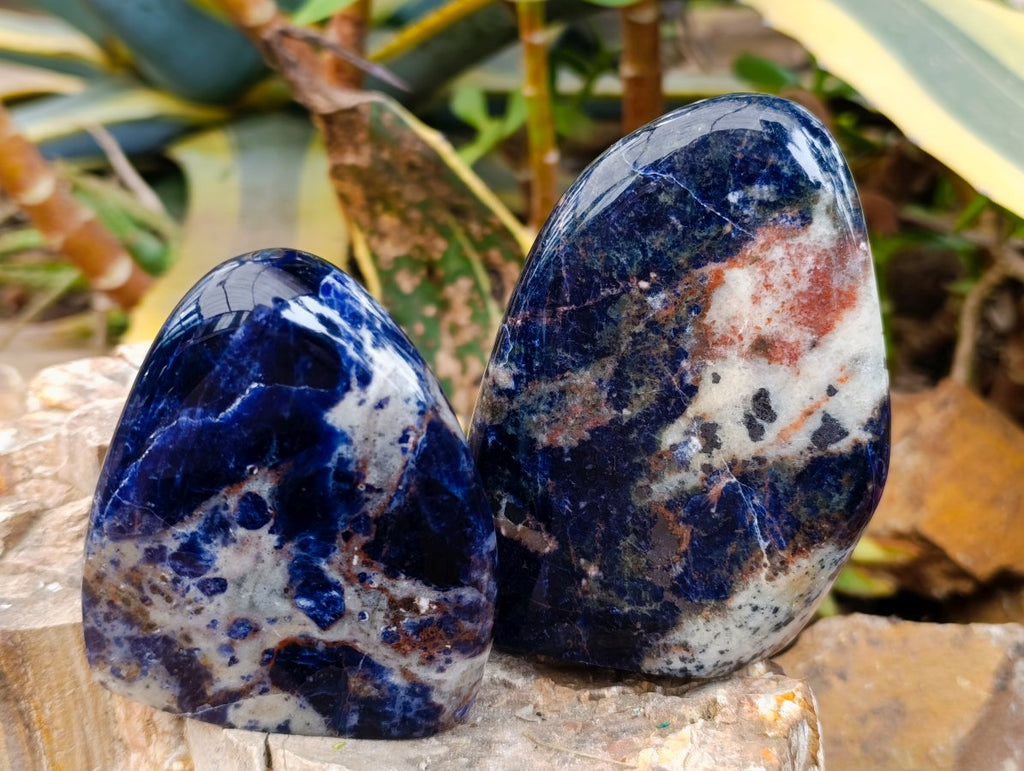 Polished Sodalite Standing Free Forms x 2 From Kunene River, Namibia