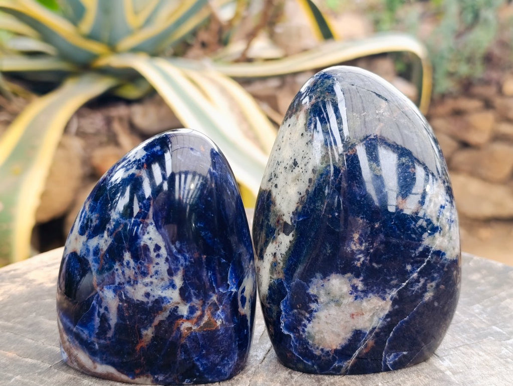 Polished Sodalite Standing Free Forms x 2 From Kunene River, Namibia