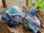 Natural Watermelon Fluorite Cobbed Specimens x 16 From Uis, Namibia