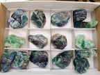 Natural Watermelon Fluorite Cobbed Specimens x 16 From Uis, Namibia