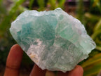 Natural Watermelon Fluorite Cobbed Specimens x 16 From Uis, Namibia