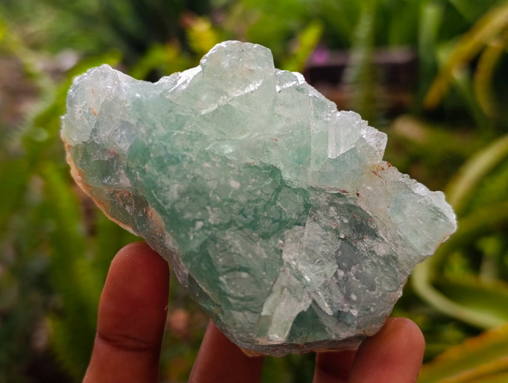 Natural Watermelon Fluorite Cobbed Specimens x 16 From Uis, Namibia