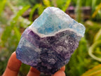 Natural Watermelon Fluorite Cobbed Specimens x 16 From Uis, Namibia