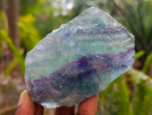 Natural Watermelon Fluorite Cobbed Specimens x 16 From Uis, Namibia