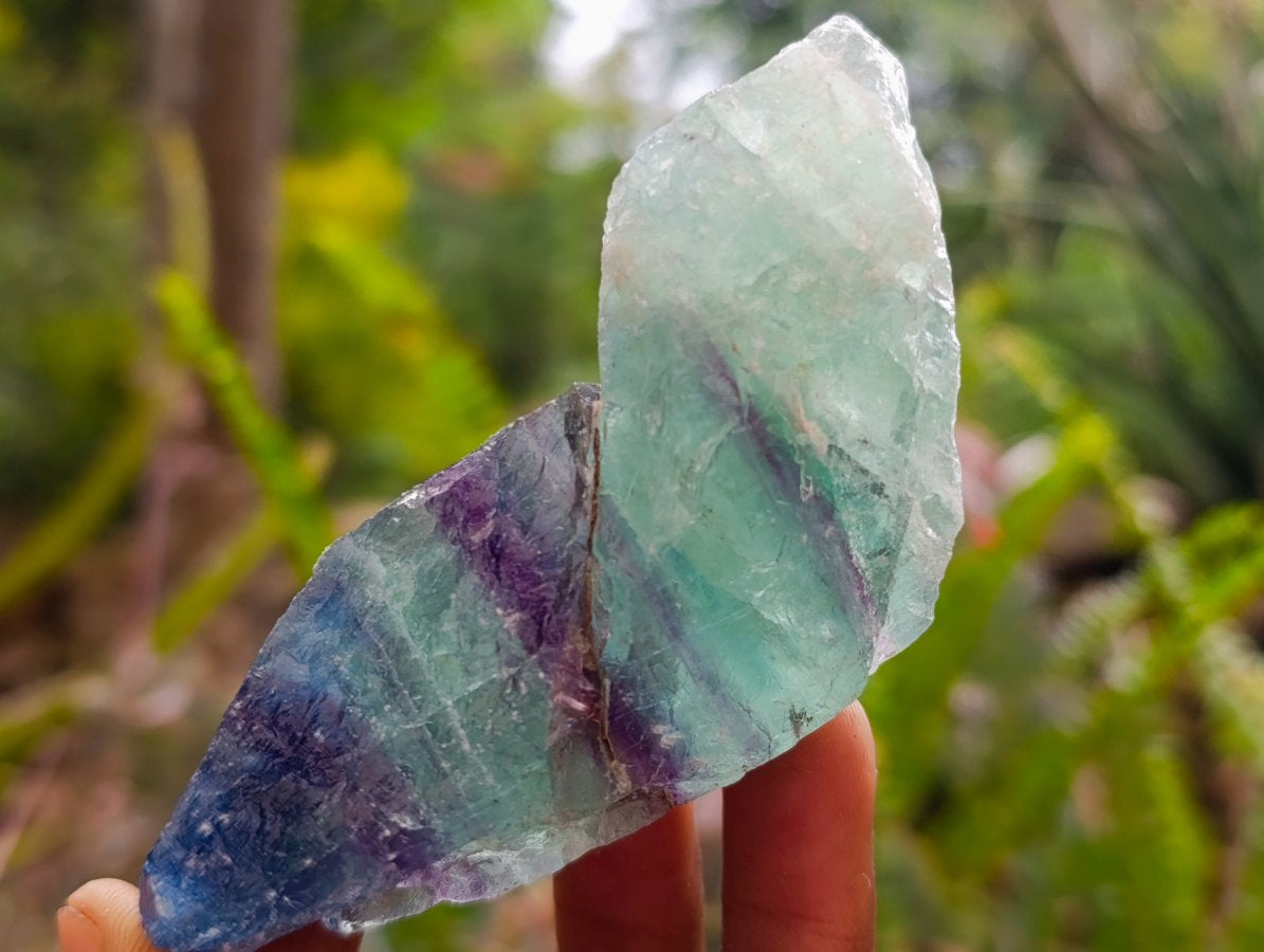 Natural Watermelon Fluorite Cobbed Specimens x 16 From Uis, Namibia