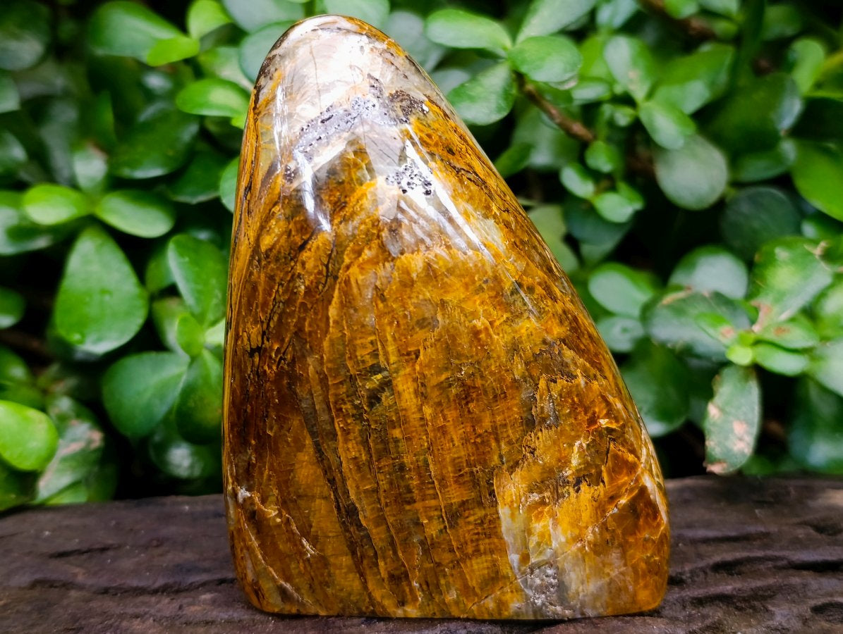 Polished Neolite Tigers Eye Standing Free Forms x 3 From Prieska, South Africa