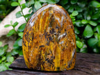 Polished Neolite Tigers Eye Standing Free Forms x 3 From Prieska, South Africa
