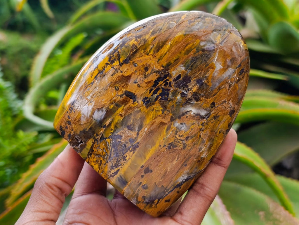 Polished Neolite Tigers Eye Standing Free Forms x 3 From Prieska, South Africa