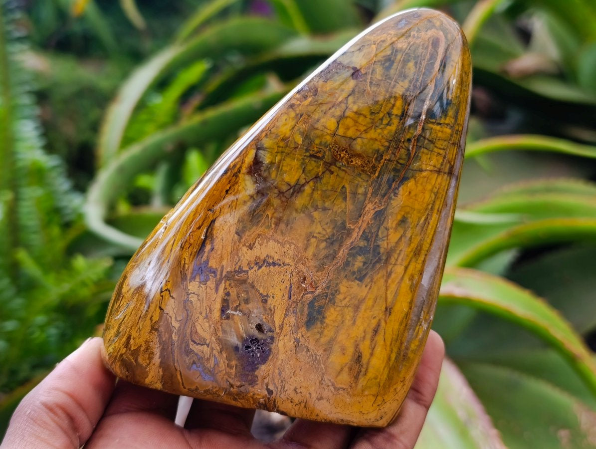 Polished Neolite Tigers Eye Standing Free Forms x 3 From Prieska, South Africa